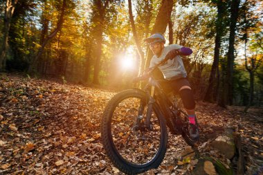 Heyecan arayan bir binici, tam donanımlı dağ bisikletiyle güneşli bir orman patikasında, sonbahar yaprakları uçuşuyor. Koruyucu teçhizat, hızlı tempo ve doğal ışık, adrenalin ve açık havada yakalanır.