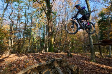 Bir binici, güneşli bir sonbahar ormanı boyunca bir dağ bisikleti üzerinde havadan atlama yapar, yapraklar zemini kaplar, aksiyon, hız ve açık hava macerasını yakalar..