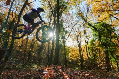 Bir binici, renkli yapraklar ve yüksek ağaçlarla çevrili, dinamik açık hava macerası ve atletik enerjiyi yakalayan güneşli bir sonbahar gününde orman kütüğünün üzerine dağ bisikleti fırlatır..