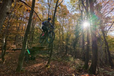 Bir dağ bisikletçisi sonbaharda bir orman patikasında düşmüş bir kütükten atlıyor. Altın yapraklar, uzun ağaçlar ve parlak bir güneş patlaması enerjik bir açık hava sporu sahnesi yaratır..