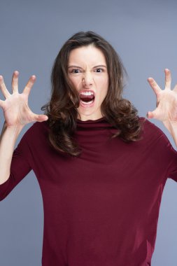 Genç bir kadının portresi