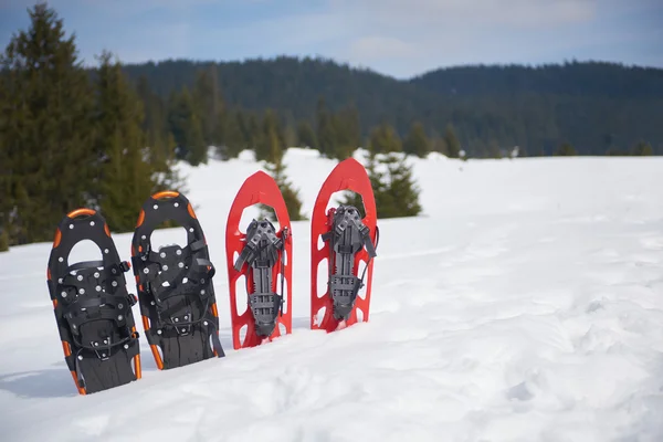 Sapatos de neve na neve fresca — Fotografia de Stock