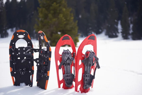 Raquetas de nieve en nieve fresca — Foto de Stock