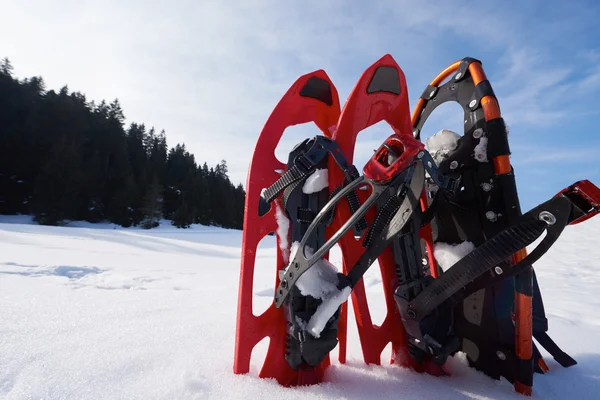 Sapatos de neve em fresco — Fotografia de Stock