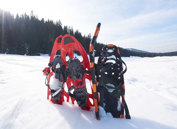 Raquettes Dans Neige Fraîche Par Belle Journée Ensoleillée Hiver — Photo