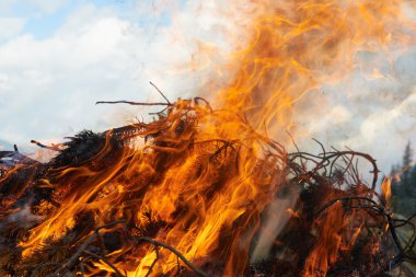 yürüyüş kamp ateşi alev