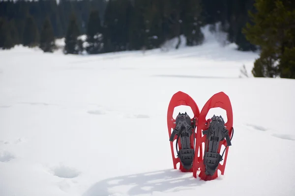 Raquetas de nieve en nieve fresca — Foto de Stock