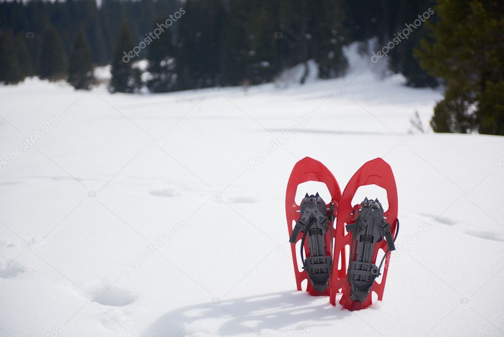 snowshoes in fresh snow