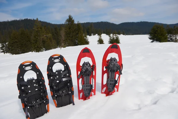 Sapatos de neve na neve fresca — Fotografia de Stock