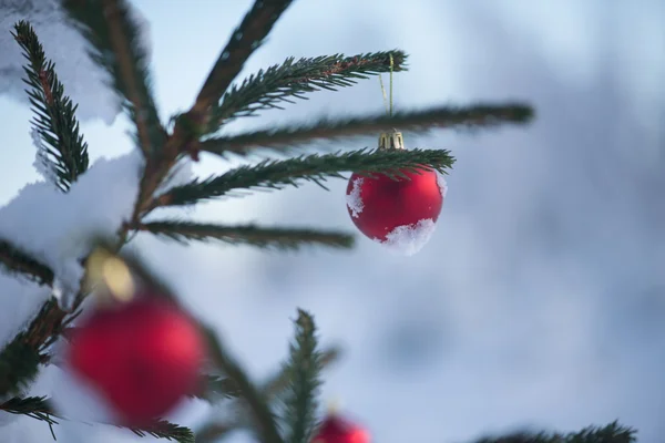 Kerstmis Rode Ballen Dennenboom Bedekt Met Verse Sneeuw — Stockfoto