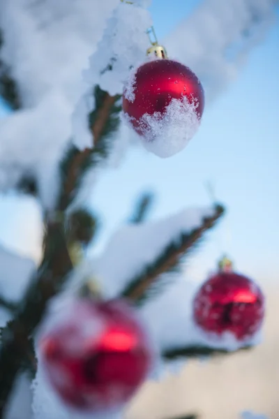 Різдвяні Червоні Кульки Сосновому Дереві Покритому Свіжим Снігом — стокове фото