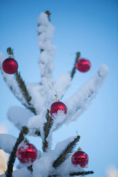 Kerstmis Rode Ballen Dennenboom Bedekt Met Verse Sneeuw — Stockfoto