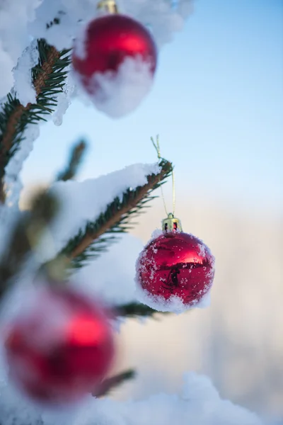 Kerstmis Rode Ballen Dennenboom Bedekt Met Verse Sneeuw — Stockfoto