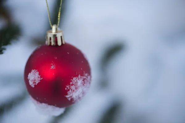 Christmas Red Ball Pine Tree Covered Fresh Snow Stock Photo