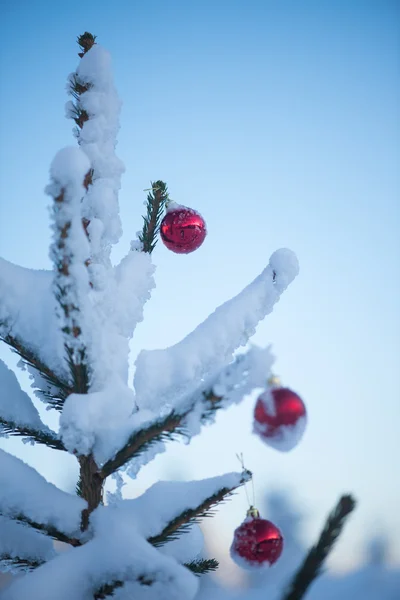 Christmas balls on tree — Stock Photo, Image