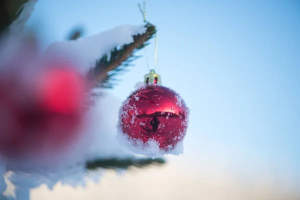 Christmas Red Balls Pine Tree Covered Fresh Snow — Stock Photo, Image