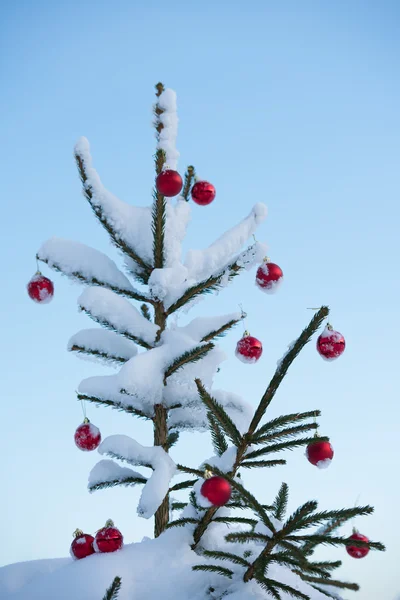 Kerstmis Rode Ballen Dennenboom Bedekt Met Verse Sneeuw — Stockfoto