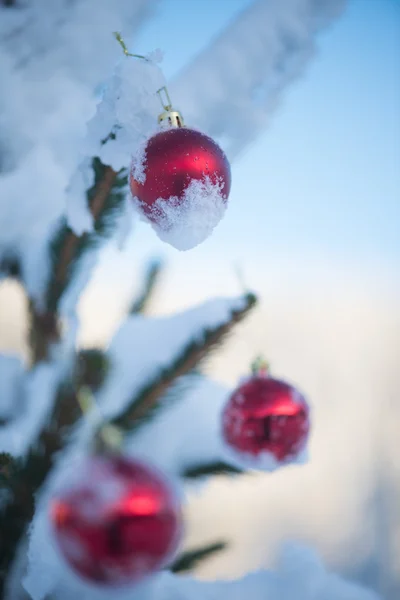 新鮮な雪で覆われた松の木の上のクリスマス赤いボール — ストック写真
