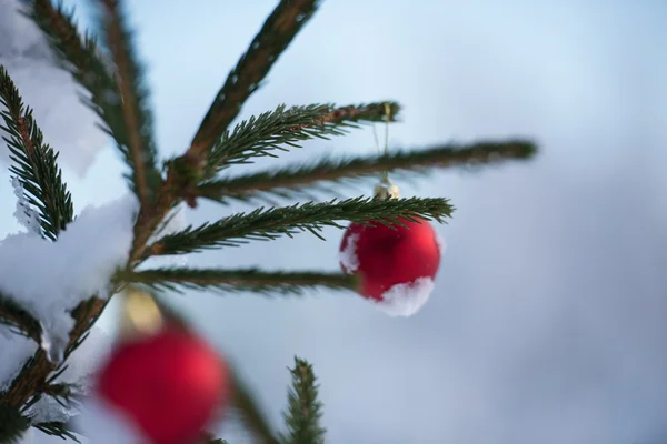 Boules Rouges Noël Sur Pin Recouvert Neige Fraîche — Photo