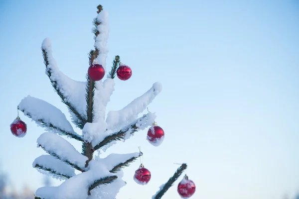Weihnachten Rote Kugeln Auf Kiefer Mit Neuschnee Bedeckt — Stockfoto