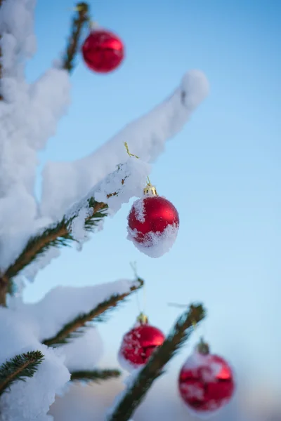 Christmas Red Balls Pine Tree Covered Fresh Snow — Stock Photo, Image