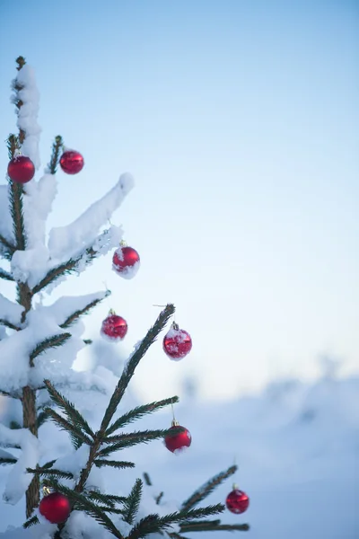 Bolas Vermelhas Natal Pinheiro Coberto Com Neve Fresca — Fotografia de Stock