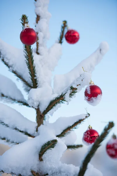 Christmas Red Balls Pine Tree Covered Fresh Snow — Stock Photo, Image