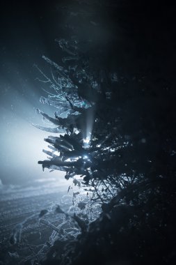 Kış gecesi taze karla kaplanmış ağaç, mercekli arka ışık...