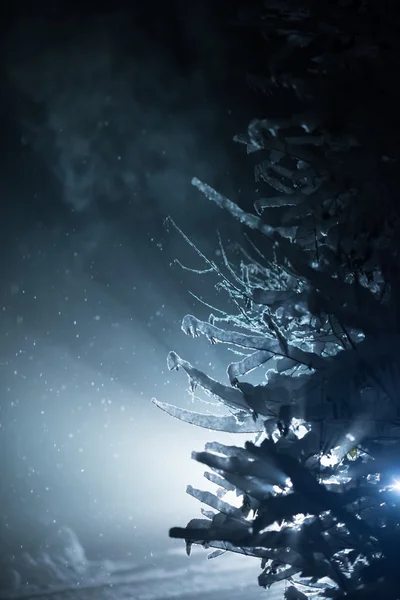 Δέντρο Καλυμμένο Φρέσκο Χιόνι Νύχτα Του Χειμώνα Πίσω Φως Φακό — Φωτογραφία Αρχείου