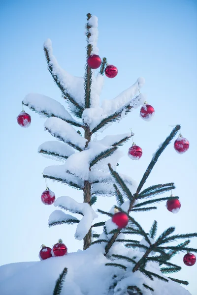 Christmas Red Balls Pine Tree Covered Fresh Snow — Stock Photo, Image