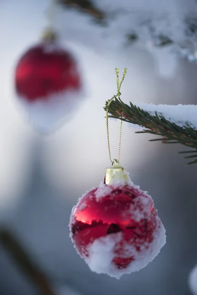 Christmas balls on tree — Stock Photo, Image