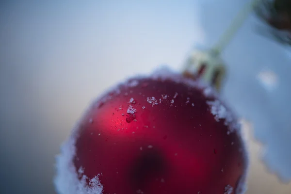 Bola de Navidad en el árbol —  Fotos de Stock