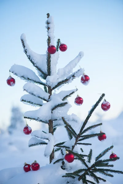 Boules de Noël sur arbre — Photo