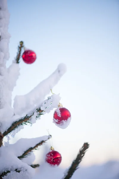 松の木にクリスマス ボール — ストック写真