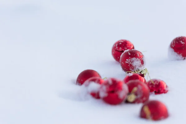 Red christmas balls in fresh snow Stock Image