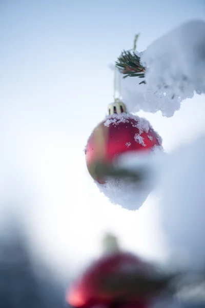 Christmas ball on pine tree — Stock Photo, Image