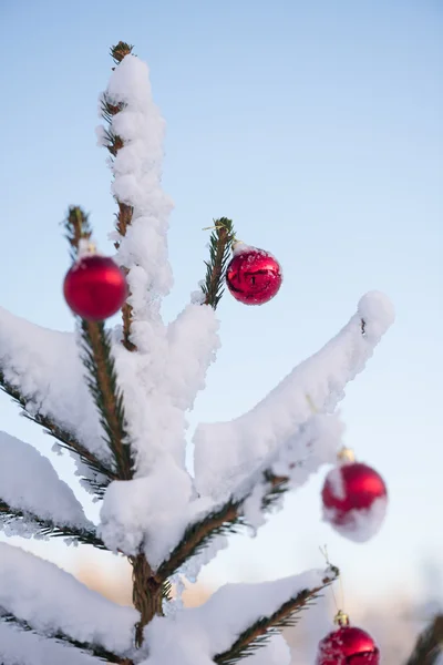 Christmas balls on pine tree — Stock Photo, Image