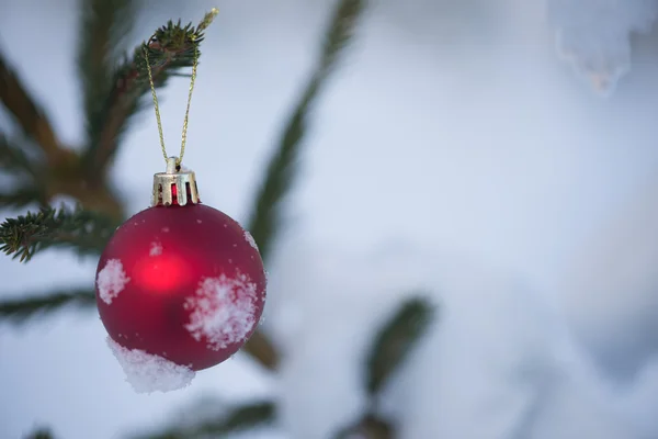 Kerstballen op pine tree — Stockfoto