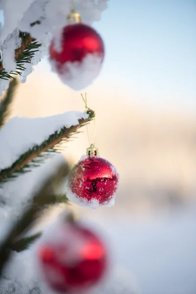 松の木にクリスマス ボール — ストック写真