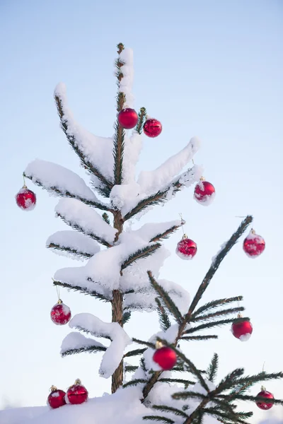 Kerstballen op pine tree — Stockfoto