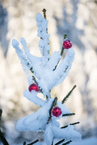 Palle di Natale su pino — Foto Stock