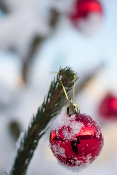 소나무에 크리스마스 공 — 스톡 사진