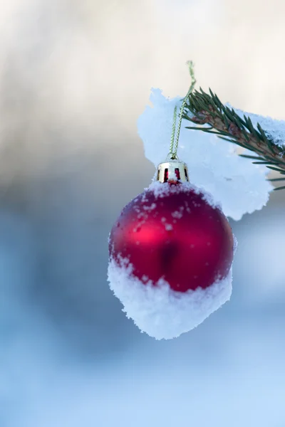 Vánoční koule na borovici — Stock fotografie