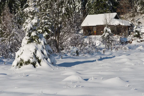 Wildernes taze karla kaplı küçük ahşap kabin — Stok fotoğraf