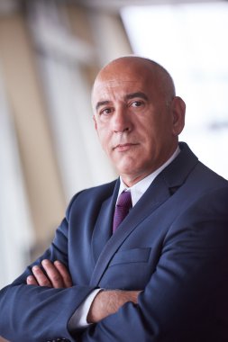 üst düzey işadamı portresi