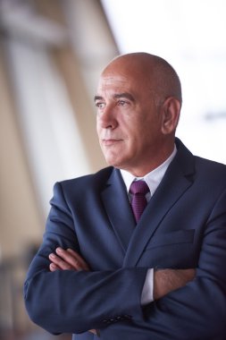 üst düzey iş adamı portresi