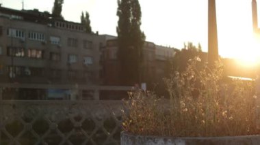 Sabahları yakışıklı koşucunun portresi