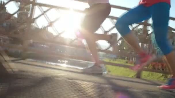 Здоровий пара біг підтюпцем — стокове відео
