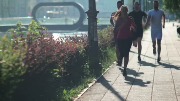 Skupina lidí jogging — Stock video