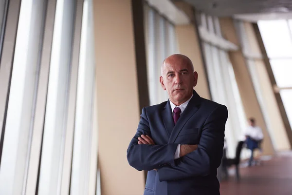 Senior business man portrait — Stock Photo, Image